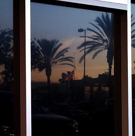 Blockout (Black) Window Film